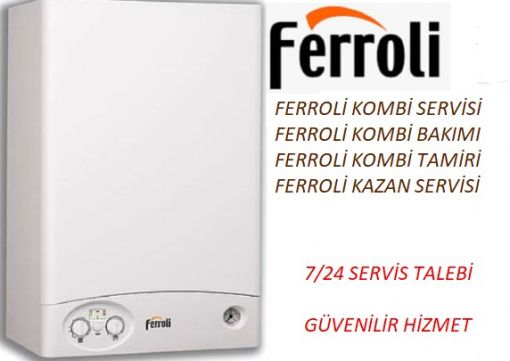 Esenyurt Ferroli Servisi